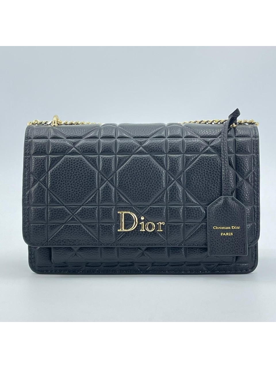 Сумка Christian Dior